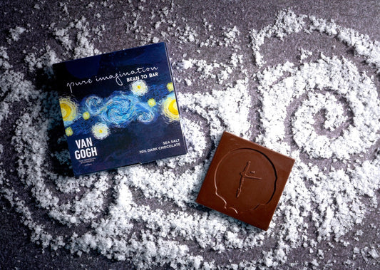 Van Gogh Sea Salt 70% Dark Chocolate