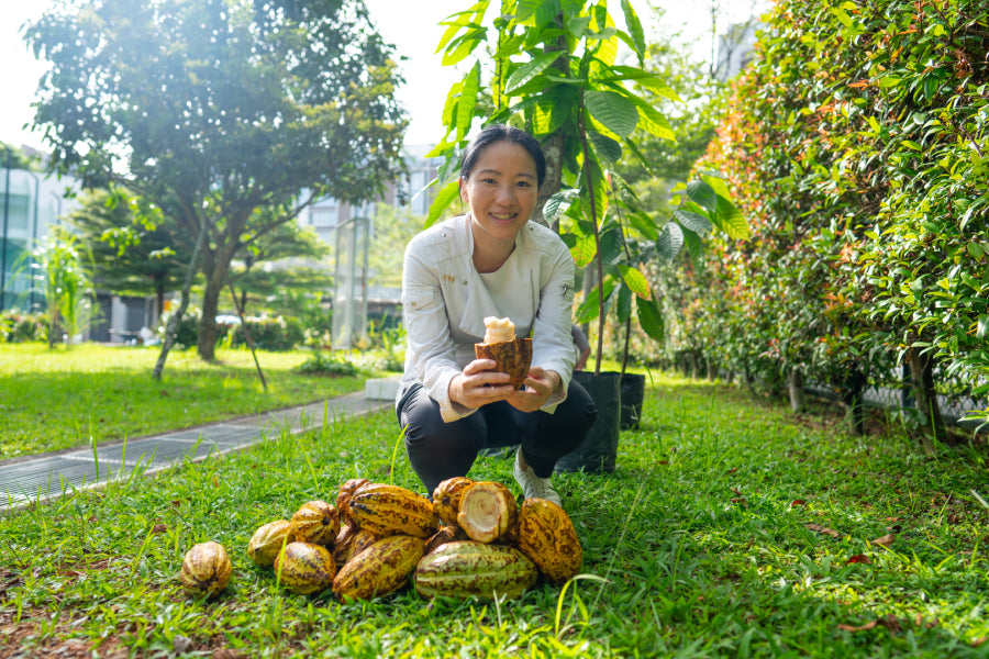 Best Ways to Enjoy Janice Wong’s Bean-to-Bar Chocolates