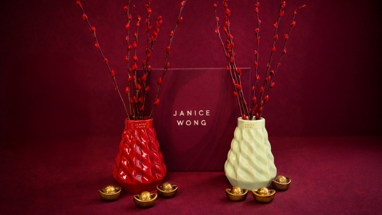 Auspicious Spring Ceramic Vase Willow Set