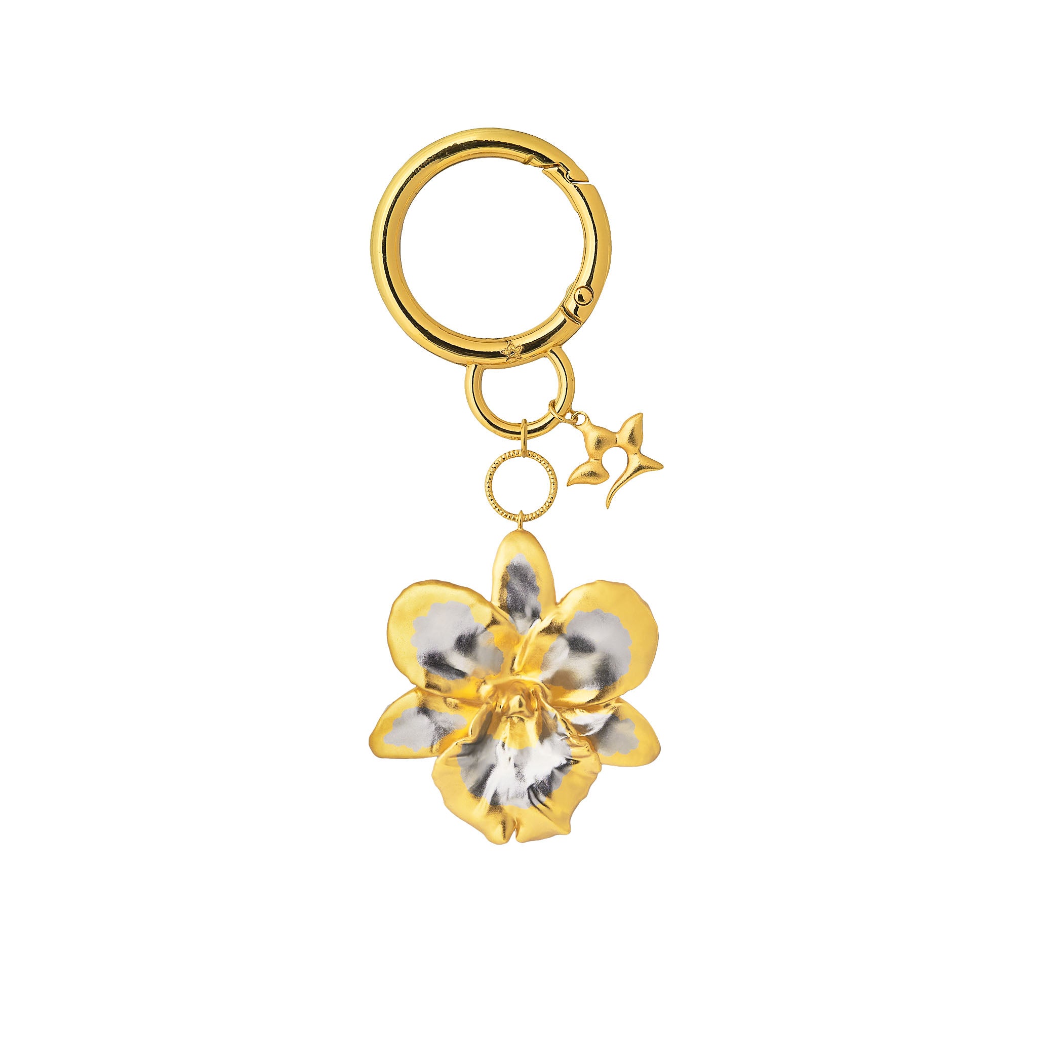 Cattleya Orchid & Chocolate Set – Janice Wong Singapore