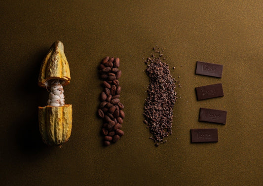 Chocolate Appreciation Workshop